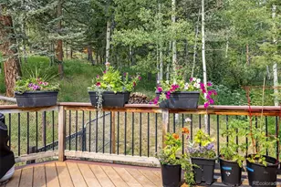 31547 Niakwa Rd, Evergreen, CO 80439 - Photo 7