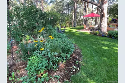 19850 Indian Summer Lane, Monument, CO 80132 - Photo 5