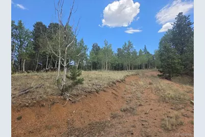 1124 Yorktown Road, Cripple Creek, CO 80813 - Photo 3