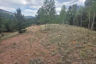 1124 Yorktown Rd, Cripple Creek, CO 80813 - Photo 1