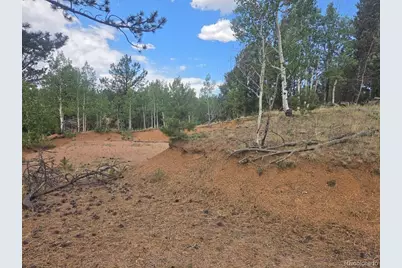 1124 Yorktown Road, Cripple Creek, CO 80813 - Photo 5