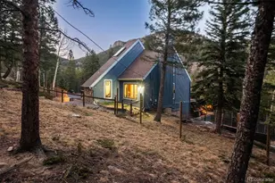 212 Juniper Ln, Evergreen, CO 80439 - Photo 41