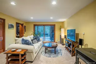 212 Juniper Ln, Evergreen, CO 80439 - Photo 35