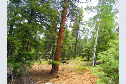 Lot 6028 Spruce Roads, San Luis, CO 81152 - Photo 5
