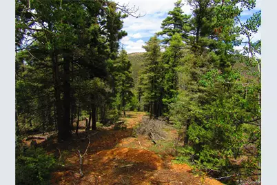 Lot 6028 Spruce Roads, San Luis, CO 81152 - Photo 1