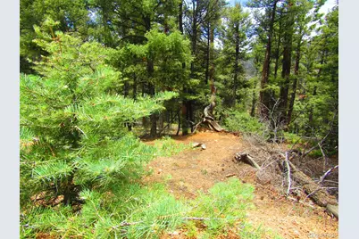 Lot 6028 Spruce Roads, San Luis, CO 81152 - Photo 25