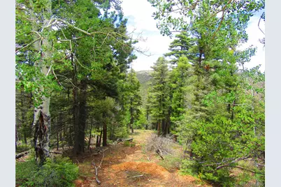 Lot 6028 Spruce Roads, San Luis, CO 81152 - Photo 13