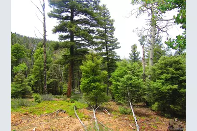 Lot 6028 Spruce Roads, San Luis, CO 81152 - Photo 11