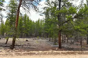 701 Cedar Dr, Leadville, CO 80461 - Photo 1