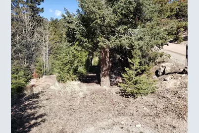 11698 Nichols Way, Conifer, CO 80433 - Photo 9