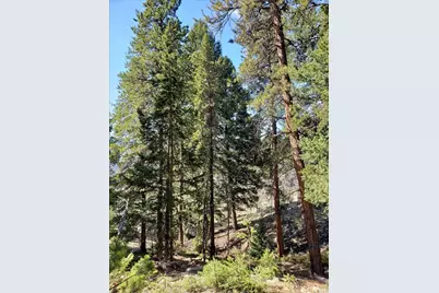 11698 Nichols Way, Conifer, CO 80433 - Photo 11