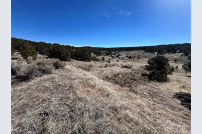 415 Kiowa Road, Westcliffe, CO 81252 - Photo 11