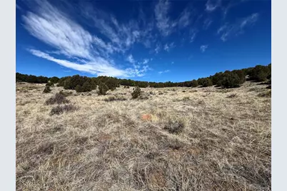 415 Kiowa Road, Westcliffe, CO 81252 - Photo 15