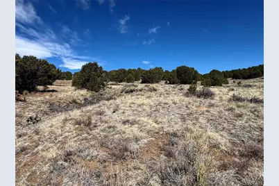 415 Kiowa Road, Westcliffe, CO 81252 - Photo 13
