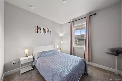 3807 Red Valley Lane, Castle Rock, CO 80104 - Photo 17