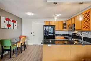 909 N Logan Street, Denver, CO 80203 - Photo 5