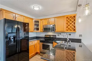 909 N Logan Street, Denver, CO 80203 - Photo 3