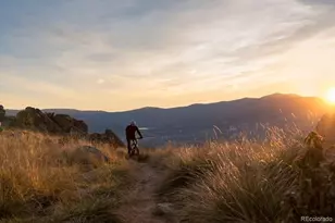 13776 Daffodil Way, Parker, CO 80134 - Photo 35