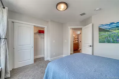 1218 Silver Vault Street, Leadville, CO 80461 - Photo 21