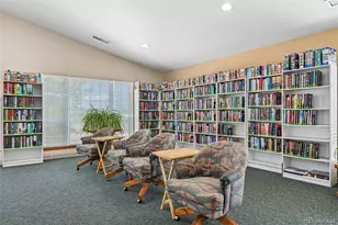 9 Skye Ln, Highlands Ranch, CO 80130 - Photo 49