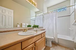 9 Skye Ln, Highlands Ranch, CO 80130 - Photo 31