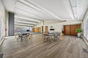 9 Skye Ln, Highlands Ranch, CO 80130 - Photo 47