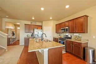 5958 High Timber Cir, Castle Rock, CO 80104 - Photo 7
