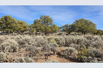 Lot 7293 Barker Road, Fort Garland, CO 81133 - Photo 17