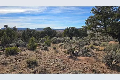Lot 7293 Barker Road, Fort Garland, CO 81133 - Photo 11