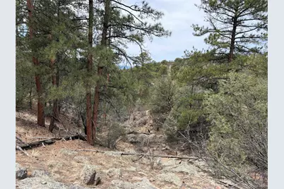 672 Coyote Run Trail, Canon City, CO 81223 - Photo 21