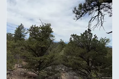 672 Coyote Run Trail, Canon City, CO 81223 - Photo 9