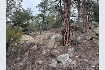 672 Coyote Run Trail, Canon City, CO 81223 - Photo 13