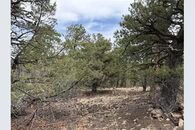 672 Coyote Run Trail, Canon City, CO 81223 - Photo 7