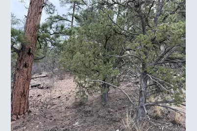 672 Coyote Run Trail, Canon City, CO 81223 - Photo 17