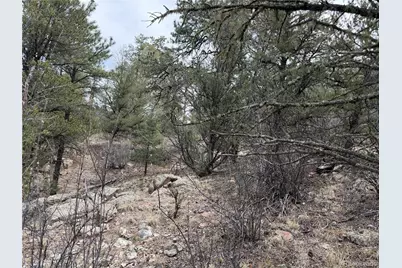 672 Coyote Run Trail, Canon City, CO 81223 - Photo 23