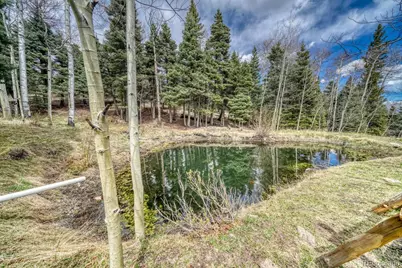 72 Gibson Road, Westcliffe, CO 81252 - Photo 31