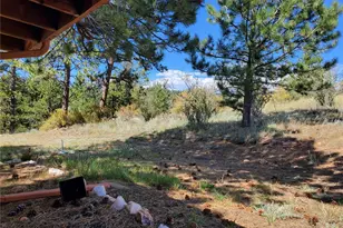 958 Meadows Ln, Florissant, CO 80820 - Photo 7