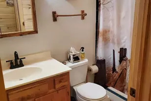 958 Meadows Ln, Florissant, CO 80820 - Photo 21