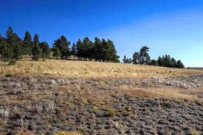 9128B Elkhorn Road, Hartsel, CO 80449 - Photo 7