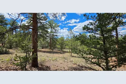 638 Keith Lane, Cotopaxi, CO 81223 - Photo 3