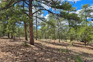 638 Keith Ln, Cotopaxi, CO 81223 - Photo 1