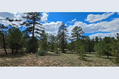 638 Keith Lane, Cotopaxi, CO 81223 - Photo 5