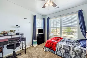 1903 Charbray Point, Castle Rock, CO 80108 - Photo 23