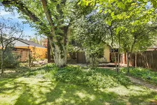 1449 Glencoe St, Denver, CO 80220 - Photo 19