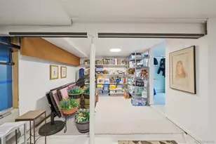 253 Old Dory Hill Rd, Black Hawk, CO 80422 - Photo 29