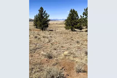 0000 Campfire Road, Hartsel, CO 80449 - Photo 39