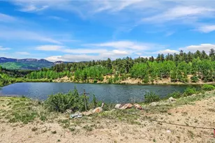 261 Wilkins Rd, Bailey, CO 80421 - Photo 37