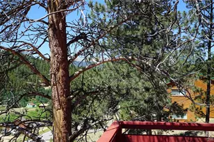 261 Wilkins Rd, Bailey, CO 80421 - Photo 17