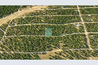 Lot 55 Lodgepole Drive, Twin Lakes, CO 80461 - Photo 9