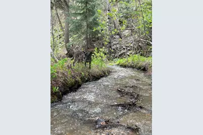 1385 Beaver Brook Canyon Road, Evergreen, CO 80439 - Photo 47